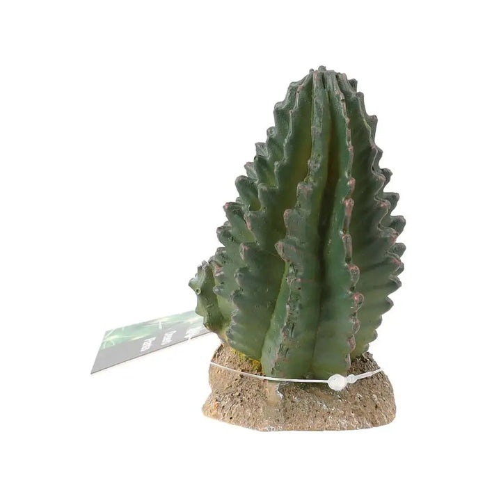 Prorep Resin Cactus Group Decor