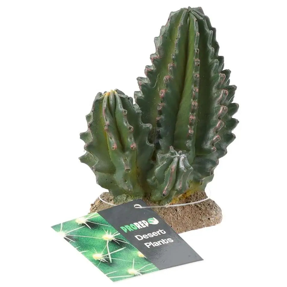 Buy ProRep Resin Cactus Group online