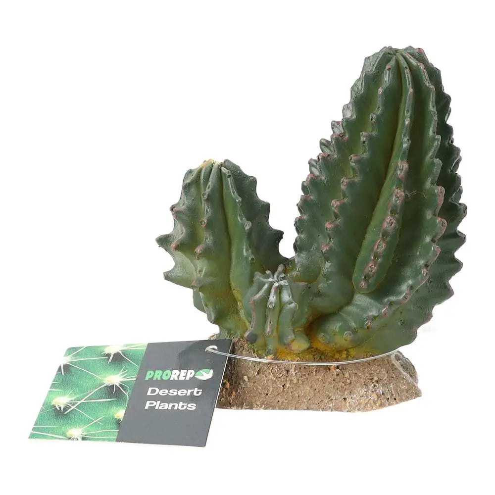 Buy ProRep Resin Cactus Group online