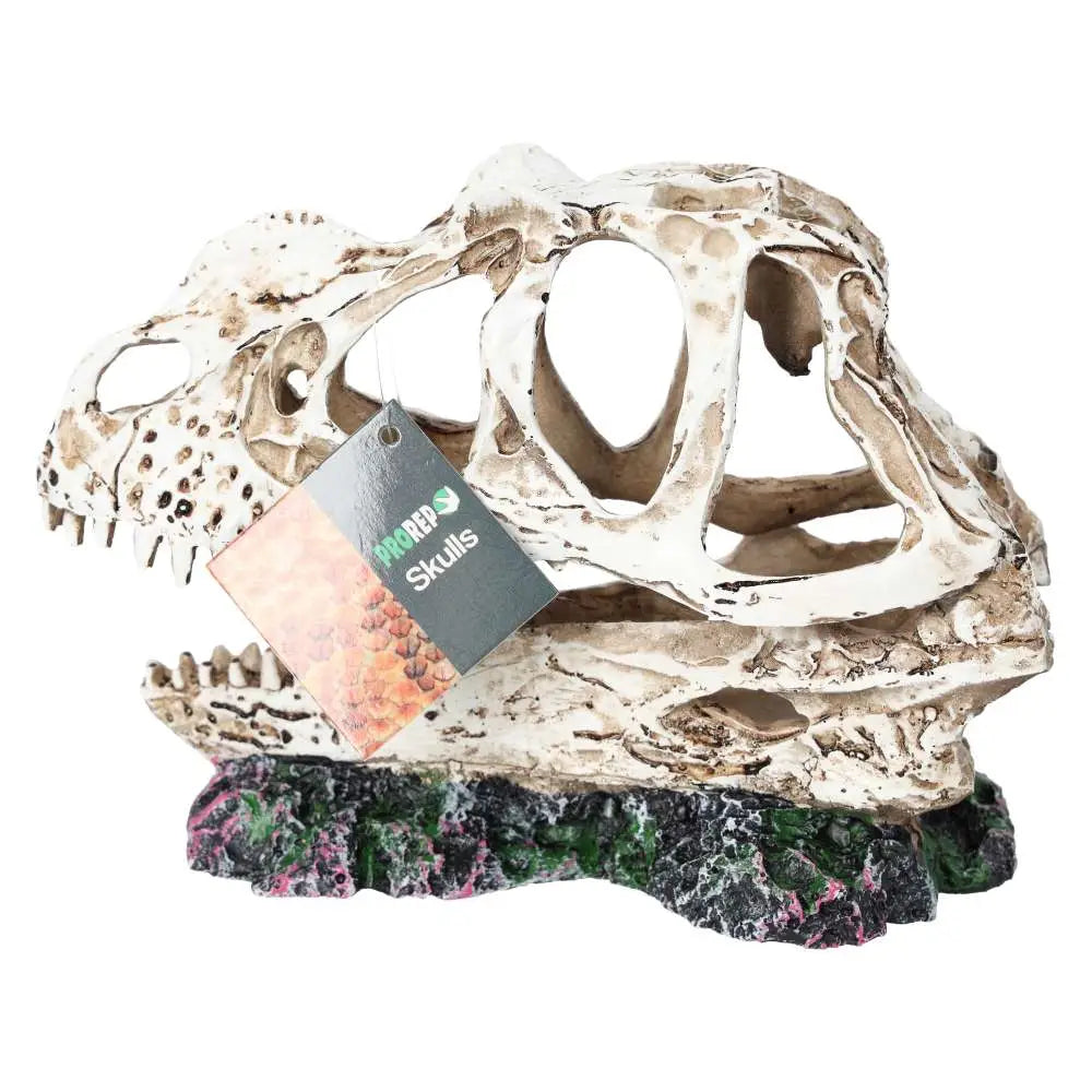 Buy ProRep Resin Ceratosuarus Skull online