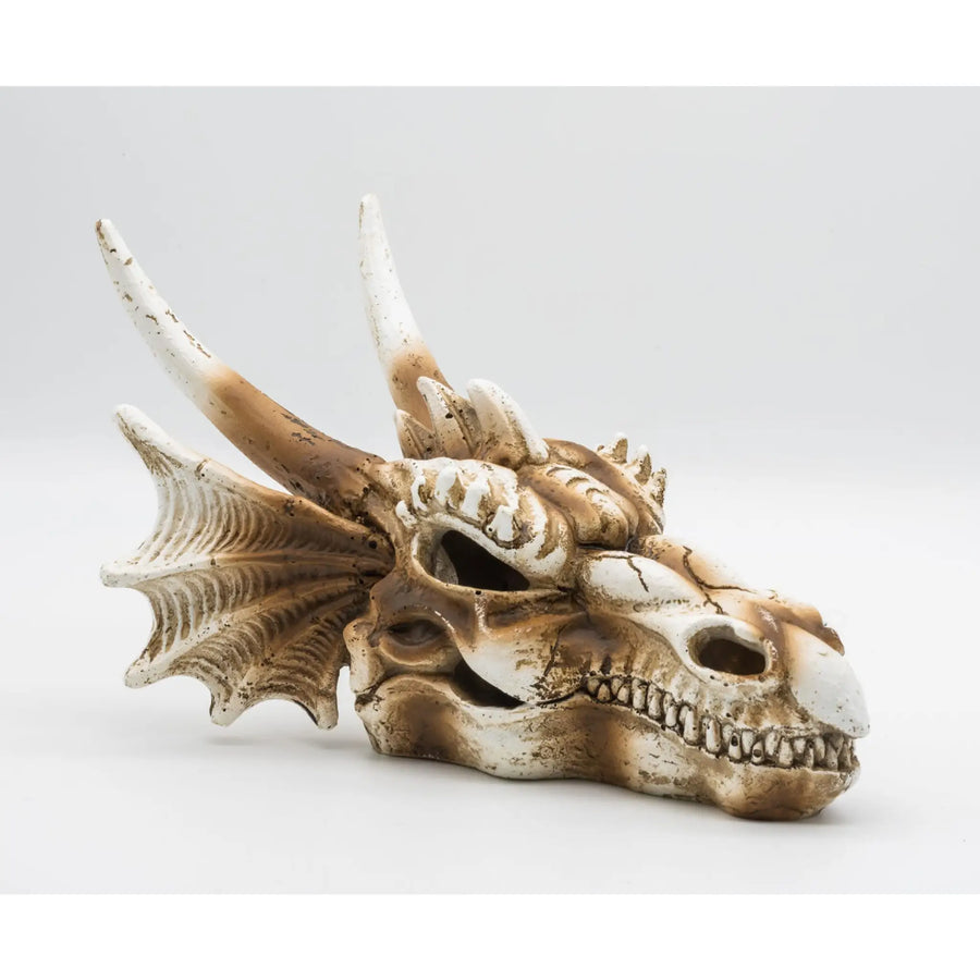 Buy ProRep Resin Dragon Skull 2 19.5x14.8x13.5cm (DPS080) Online at £14.69 from Reptile Centre