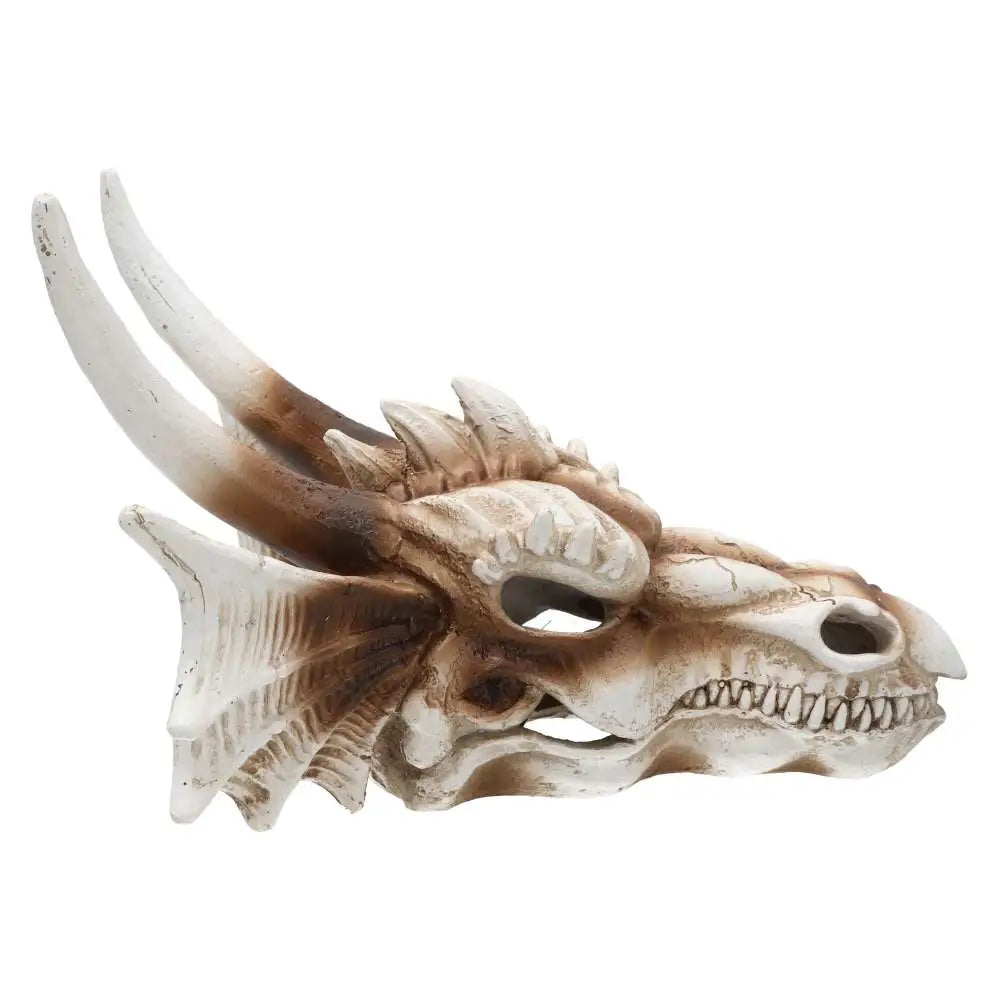 Buy ProRep Resin Dragon Skull online