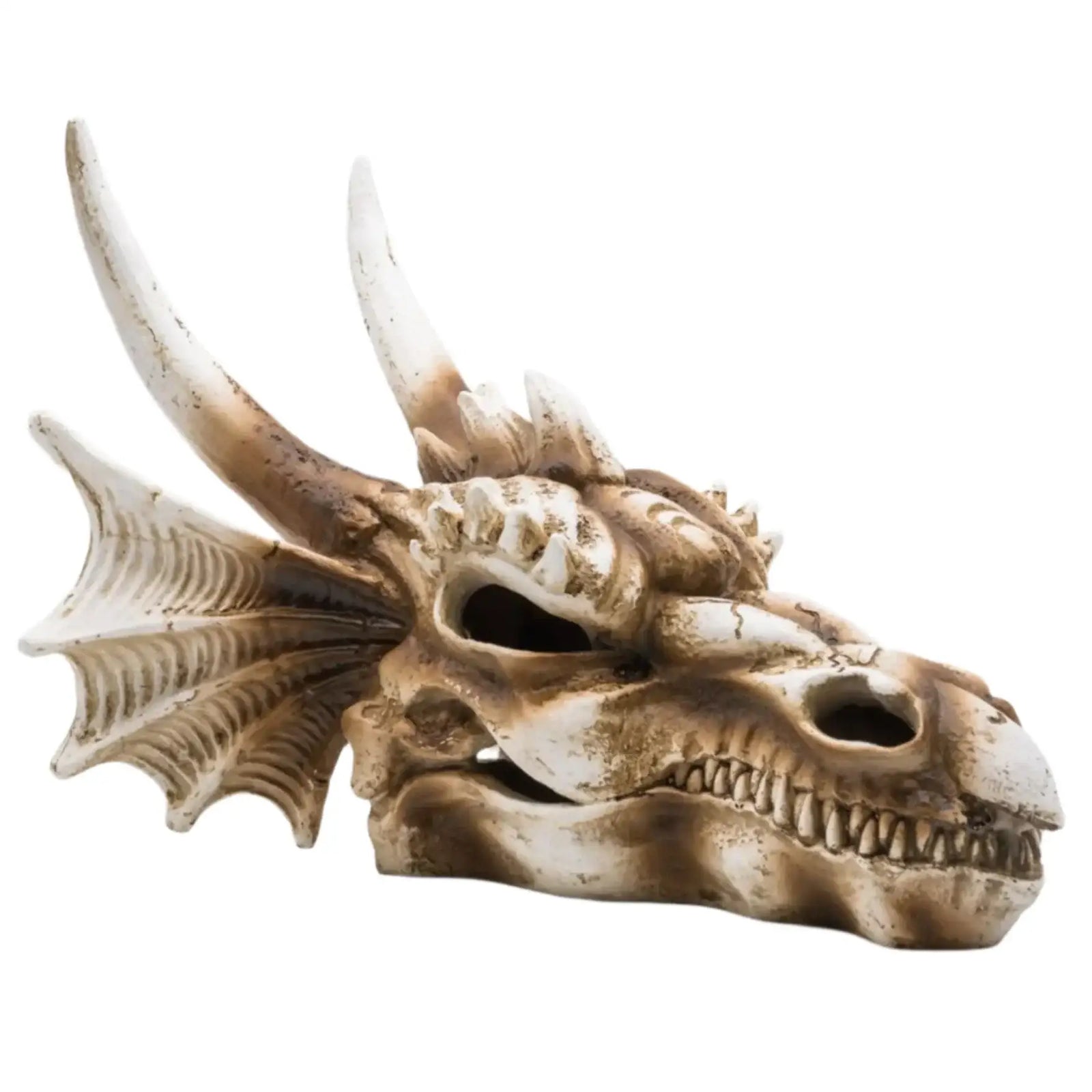 Buy ProRep Resin Dragon Skull online