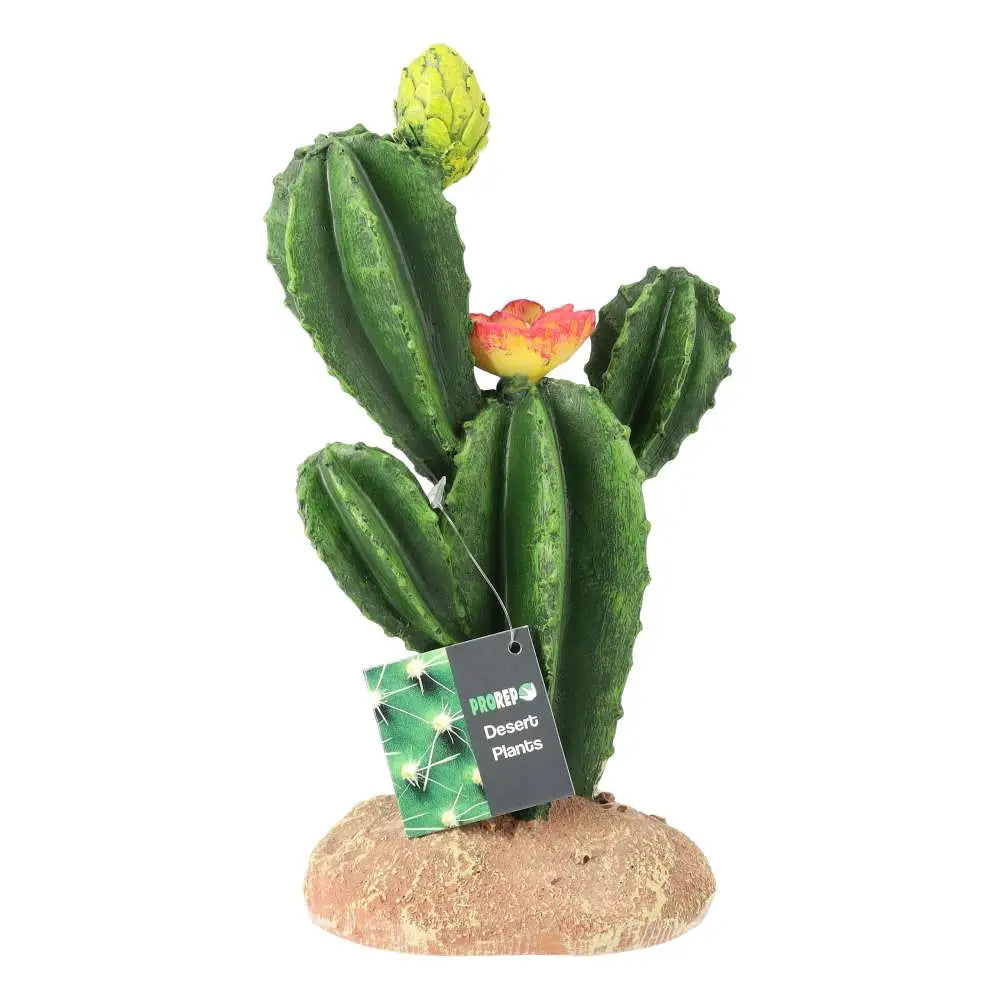 Buy ProRep Resin Flowering Cactus online