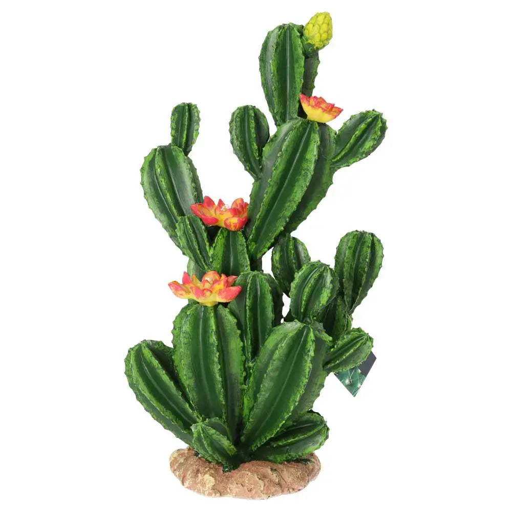 Buy ProRep Resin Flowering Cactus online