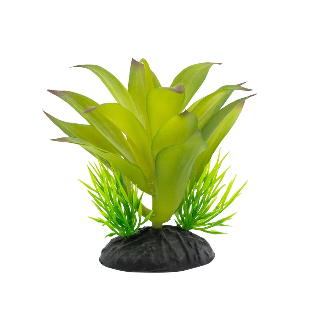 Buy ProRep Sanseviria Plant 10cm (PPP217) Online at £4.69 from Reptile Centre