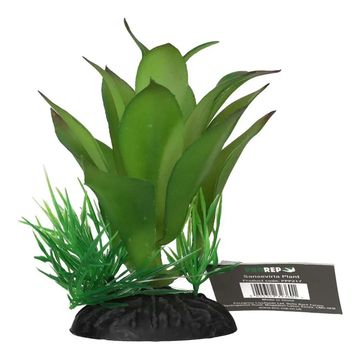 Prorep Sanseviria Plant Decor