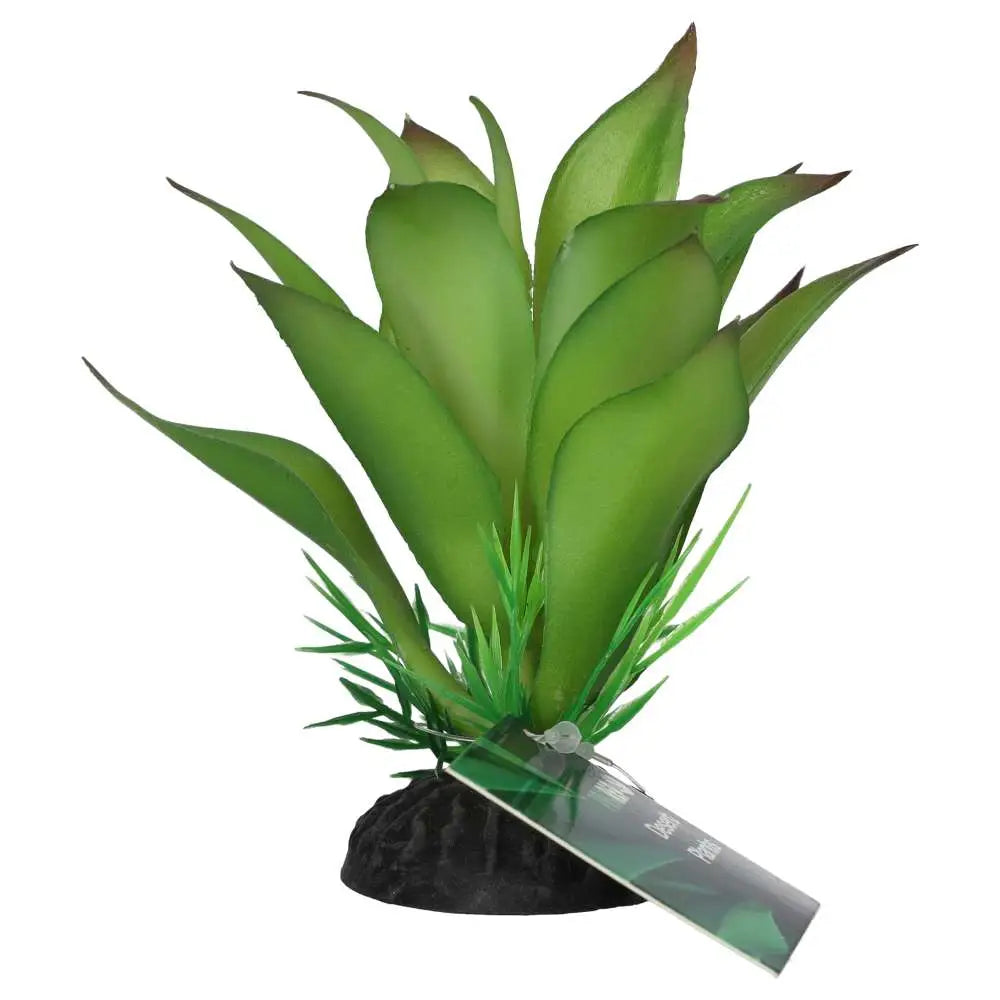 Prorep Sanseviria Plant Decor