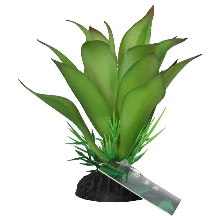 Prorep Sanseviria Plant Decor