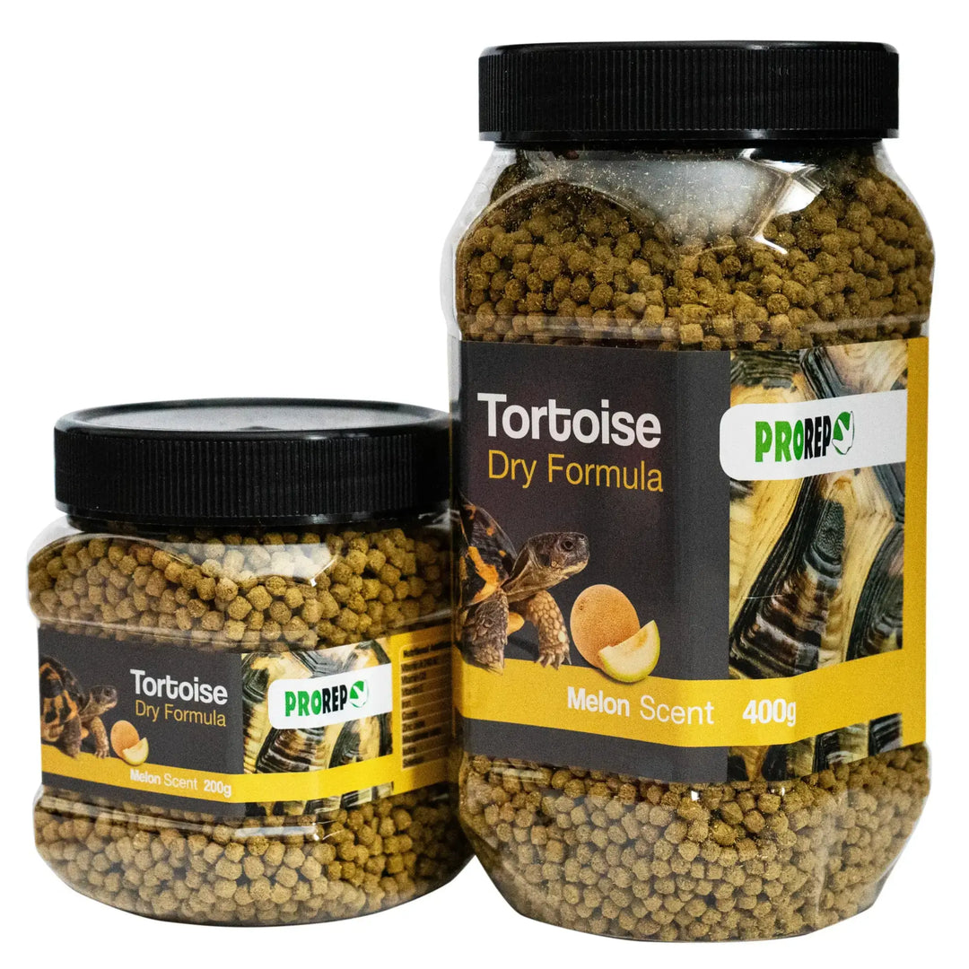 Prorep Tortoise Food Melon Dry Formula