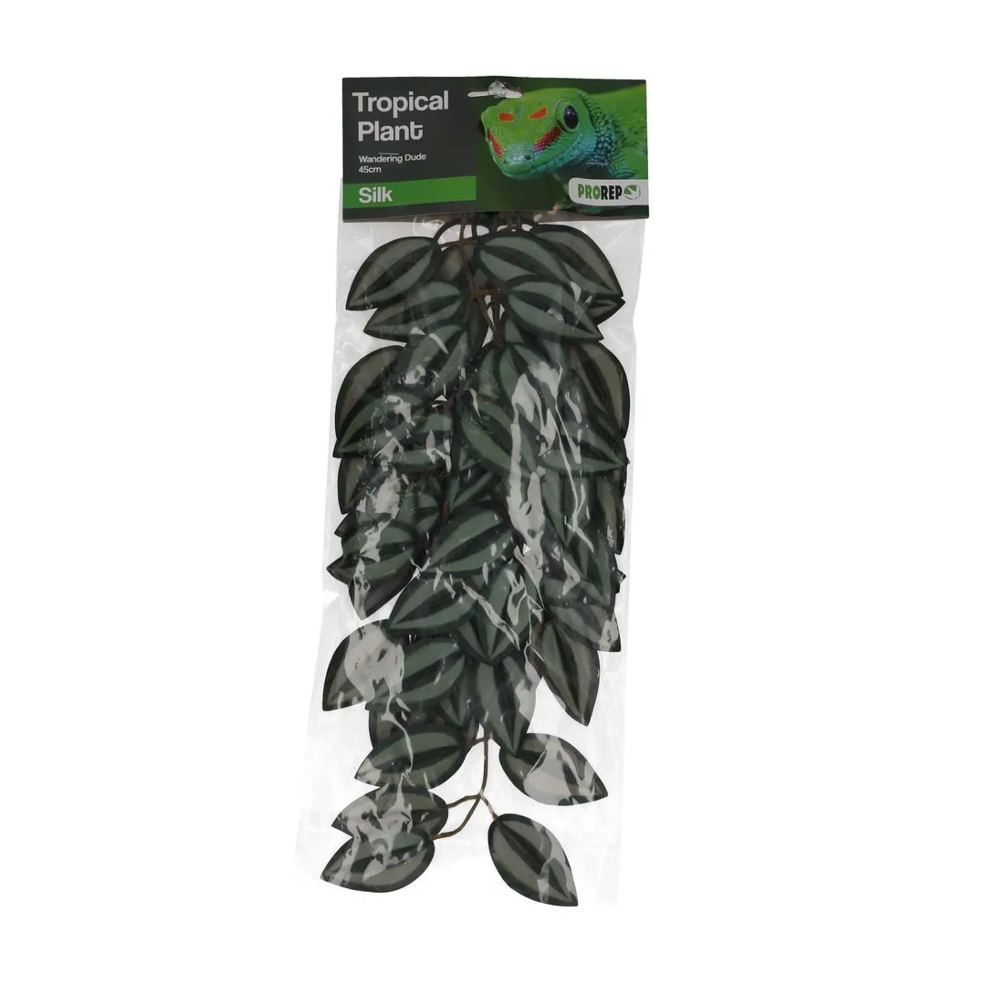 hanging dude plant ProRep Wandering Dude Silk Hanging Plant – Northampton Reptile Centre