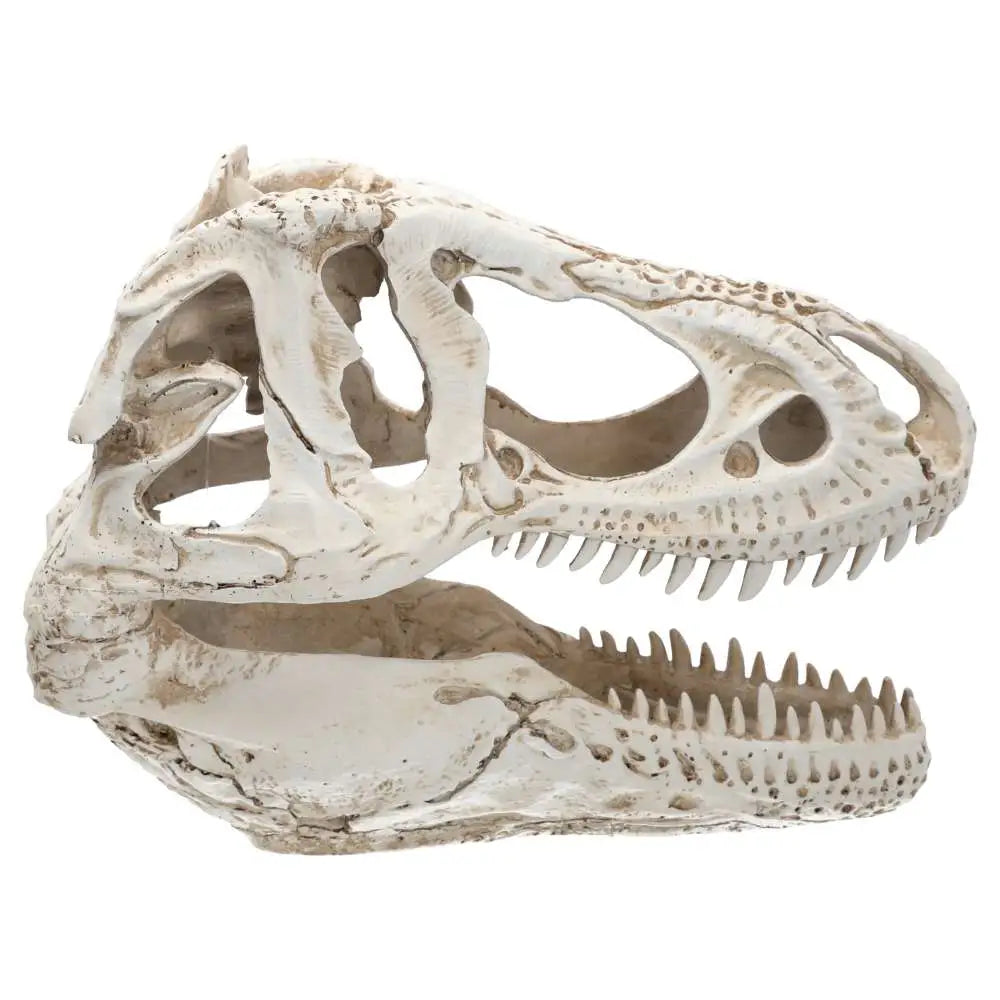 Prorep Xl T-Rex Skull Decor