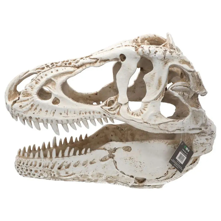 Prorep Xl T-Rex Skull Decor