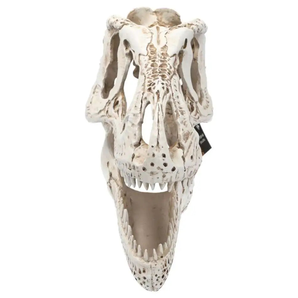 Buy ProRep XL T-Rex Skull online
