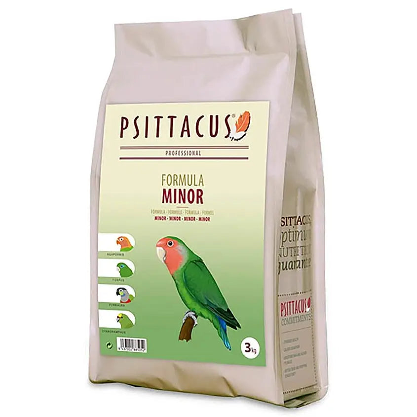 Buy Psittacus Minor online