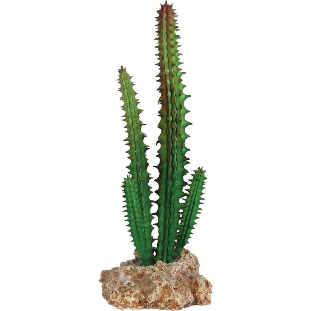Buy RepStyle Cactus with Rock Base (DRS020) Online at £3.99 from Reptile Centre