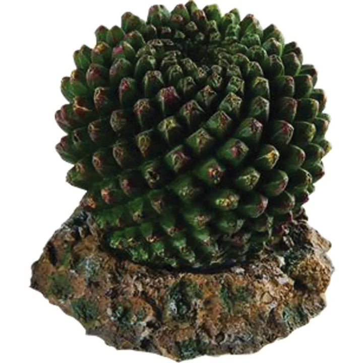 Buy RepStyle Cactus with Rock Base (DRS021) Online at £4.29 from Reptile Centre