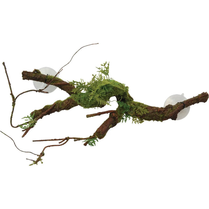 Buy RepStyle Mounted Vine Sucker (DRS109) Online at £26.29 from Reptile Centre
