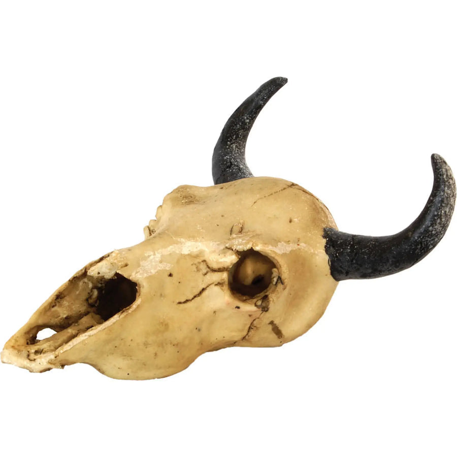 Buy RepStyle Skull Goat (DRS079) Online at £9.09 from Reptile Centre
