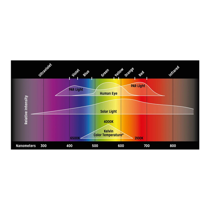 Reptile Systems New Dawn Proten Led Lighting