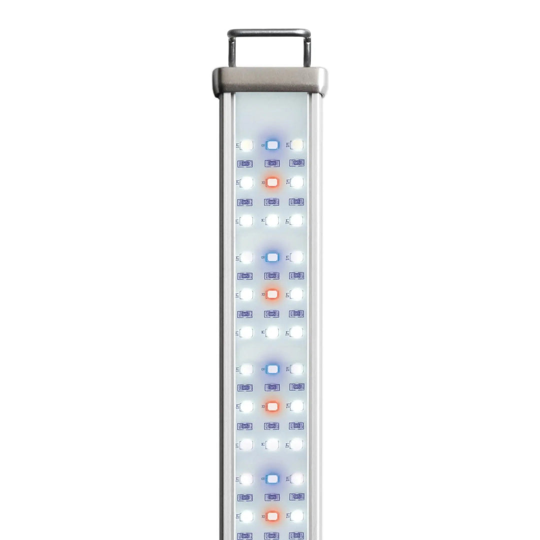 Reptile Systems New Dawn Proten Led Lighting