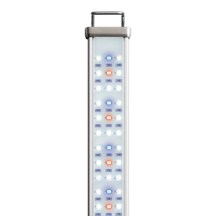 Reptile Systems New Dawn Proten Led Lighting
