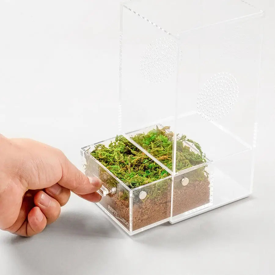 Buy ReptiZoo Acrylic Case with Removable Tray online