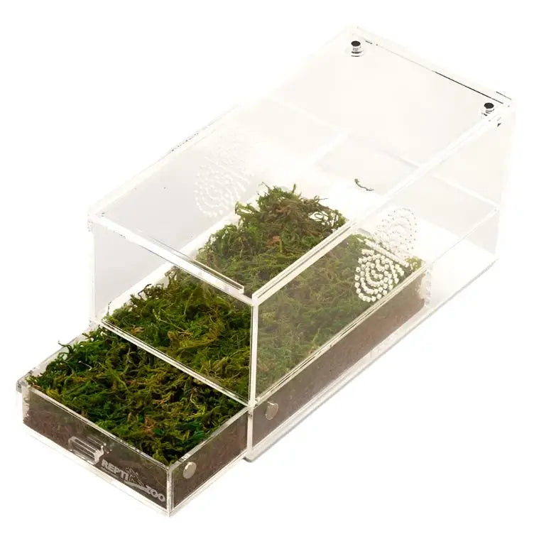 Buy ReptiZoo Acrylic Case with Removable Tray online