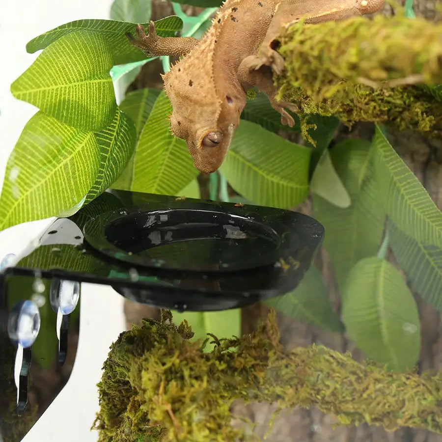 Reptizoo Arboreal Feeder 8X8Cm Decor