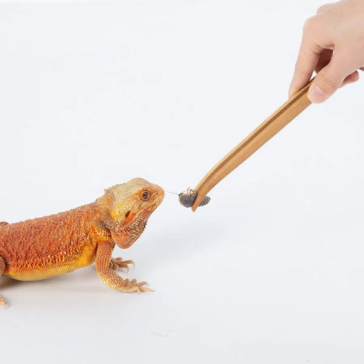 Reptizoo Bamboo Tweezers 28Cm Miscellaneous