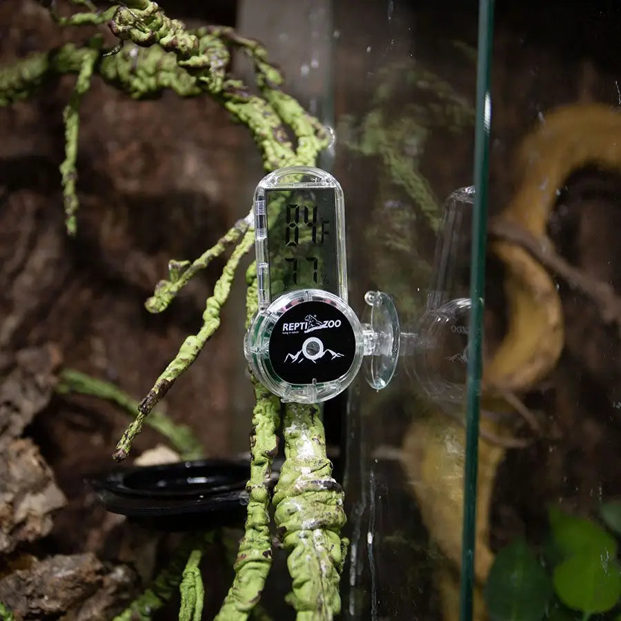 Reptizoo Digital Thermo-Hygro Suction Cup Heating