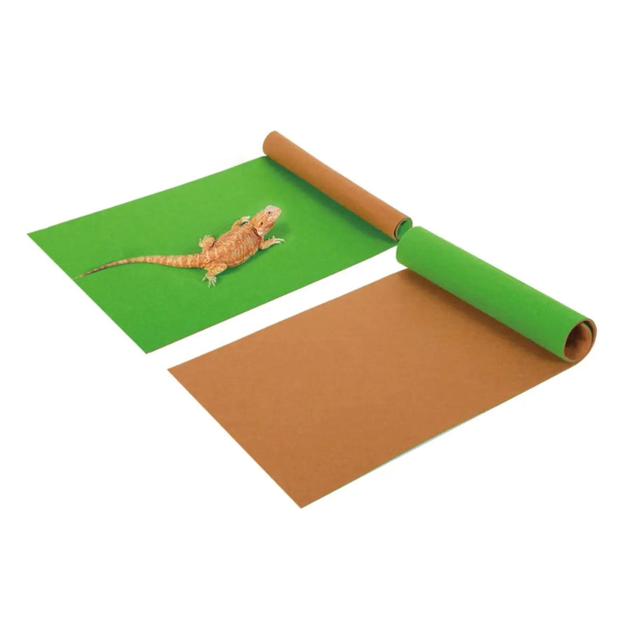 RZ 2 Sided Tropical/Desert Mat with bearded dragon