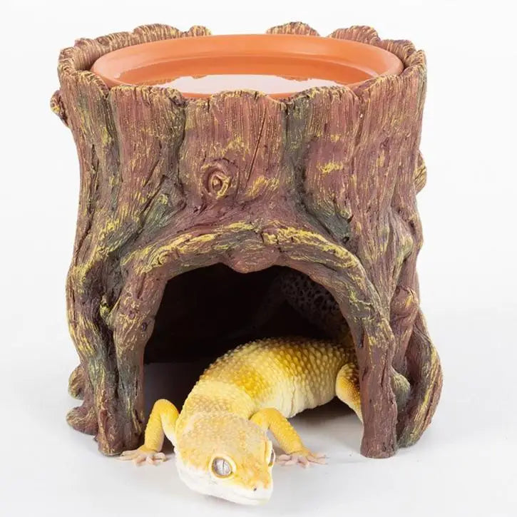 Buy ReptiZoo Humid Tree Stump Hideout and Dish online