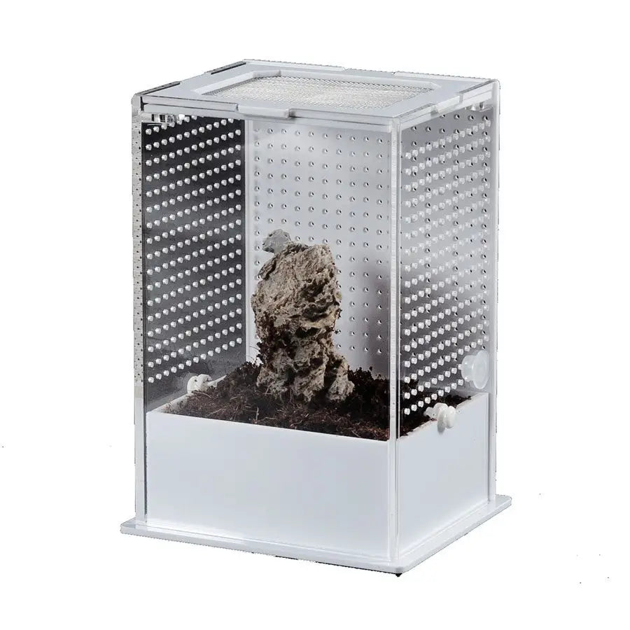 Buy ReptiZoo Insect Acrylic Box White Base online