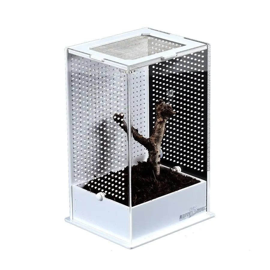 Buy ReptiZoo Insect Acrylic Box White Base online