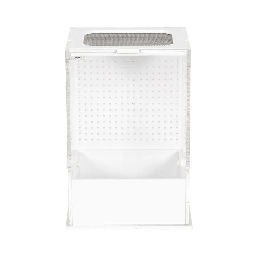 Reptizoo Insect Acrylic Box White Base Housing