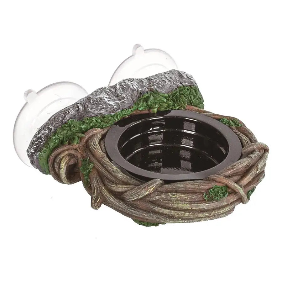 Buy ReptiZoo Magnetic Arboreal Feeder Vine 10x10cm online