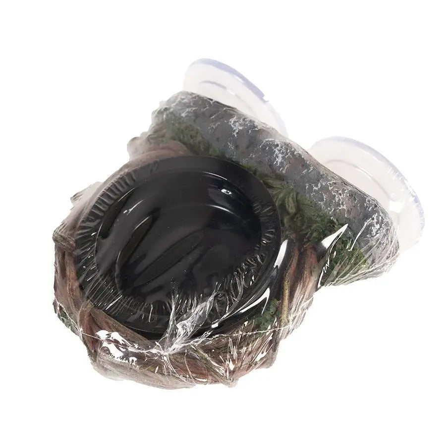 Buy ReptiZoo Magnetic Arboreal Feeder Vine 10x10cm online