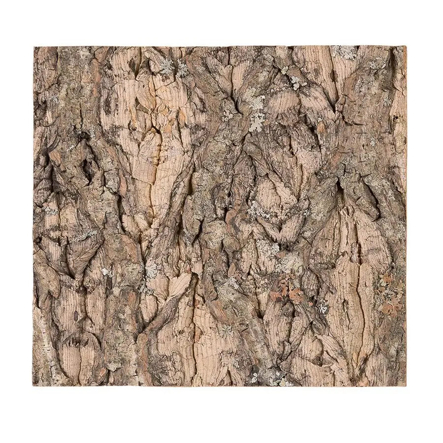 Buy ReptiZoo Natural Cork Tile Background online