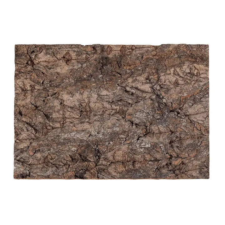 Reptizoo Natural Cork Tile Background 20 X 30Cm Decor