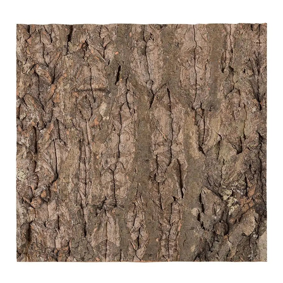 Reptizoo Natural Cork Tile Background 30 X 30Cm Decor