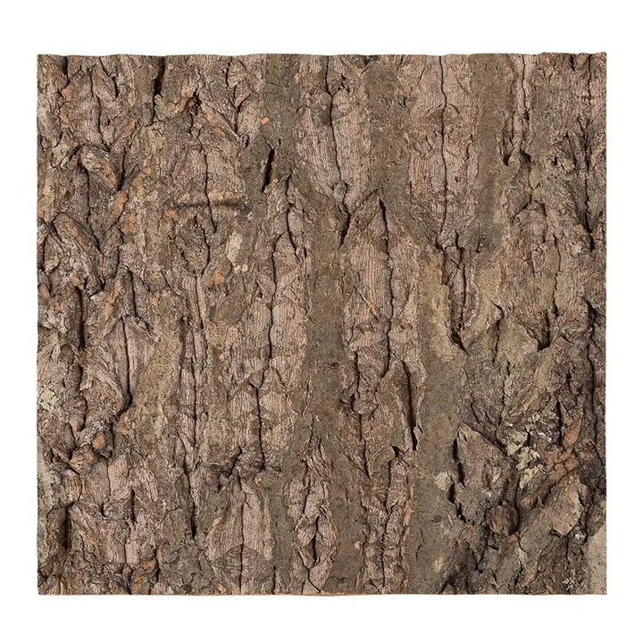 Reptizoo Natural Cork Tile Background 30 X 30Cm Decor