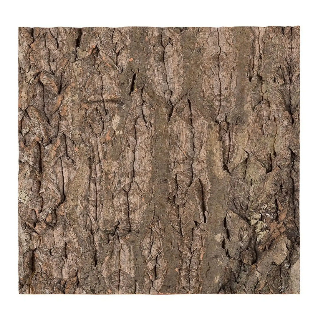 Reptizoo Natural Cork Tile Background 30 X 30Cm Decor