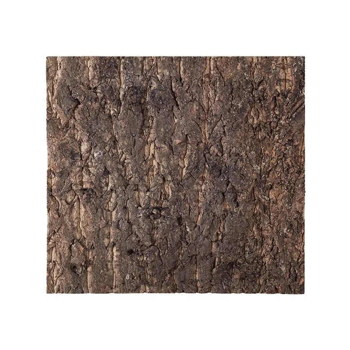 Reptizoo Natural Cork Tile Background 45 X 45Cm Decor