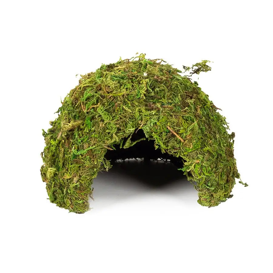 Buy ReptiZoo Natural Moss Dome online
