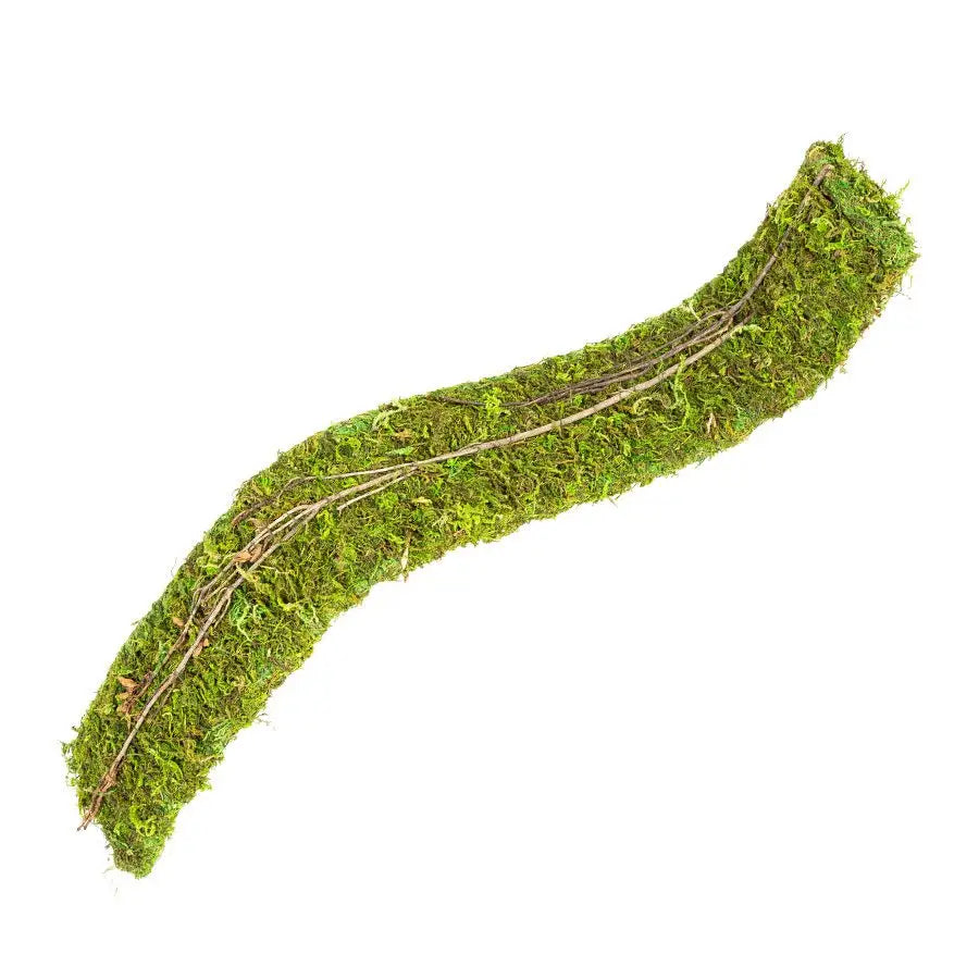 Buy ReptiZoo Natural Moss Flex Bridge online