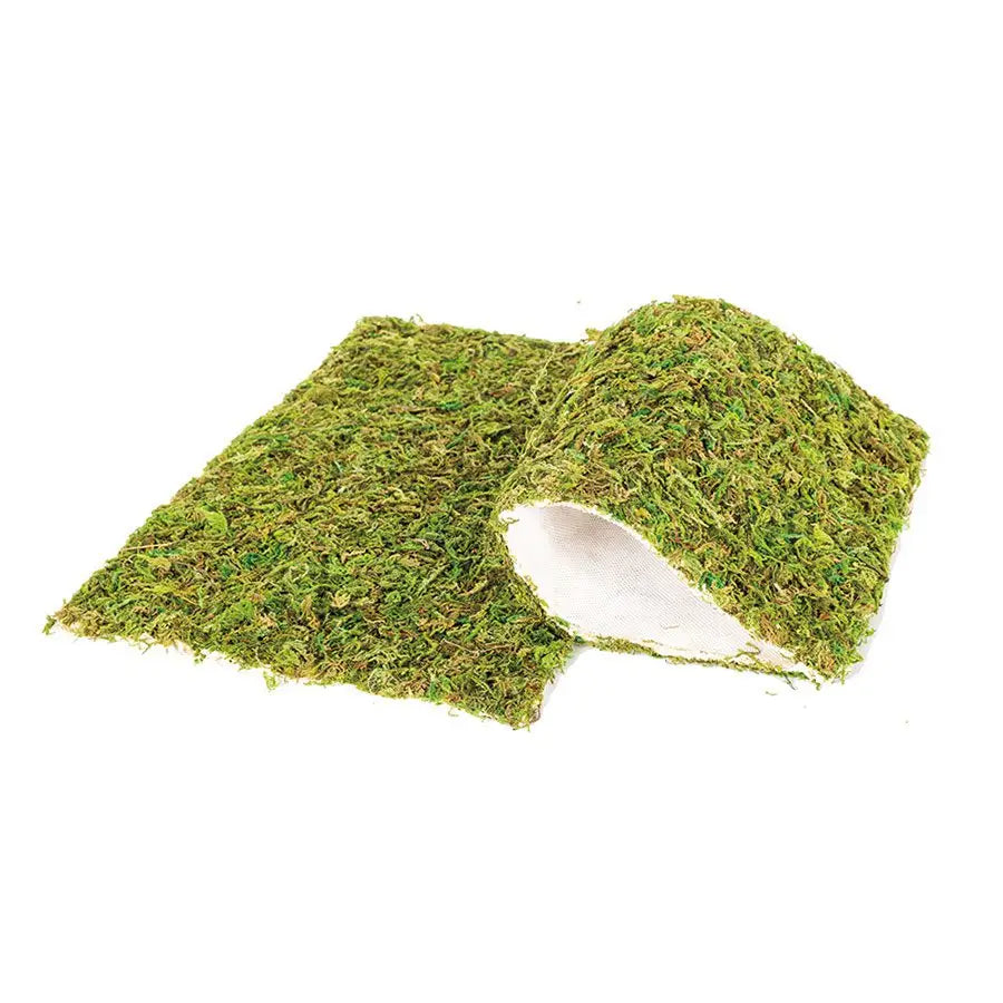 ReptiZoo Natural Moss Mat 30x20cm 2-Pack