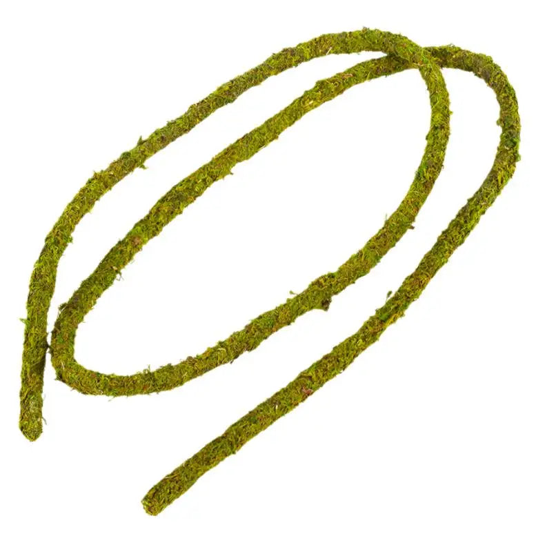 Buy ReptiZoo Natural Moss Vine online