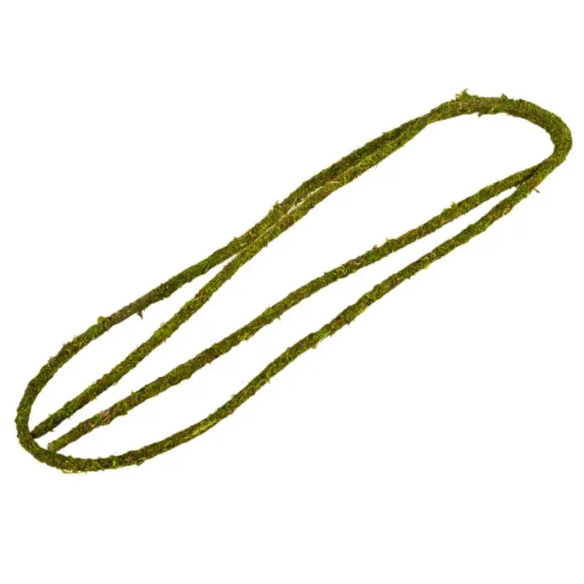 Buy ReptiZoo Natural Moss Vine online