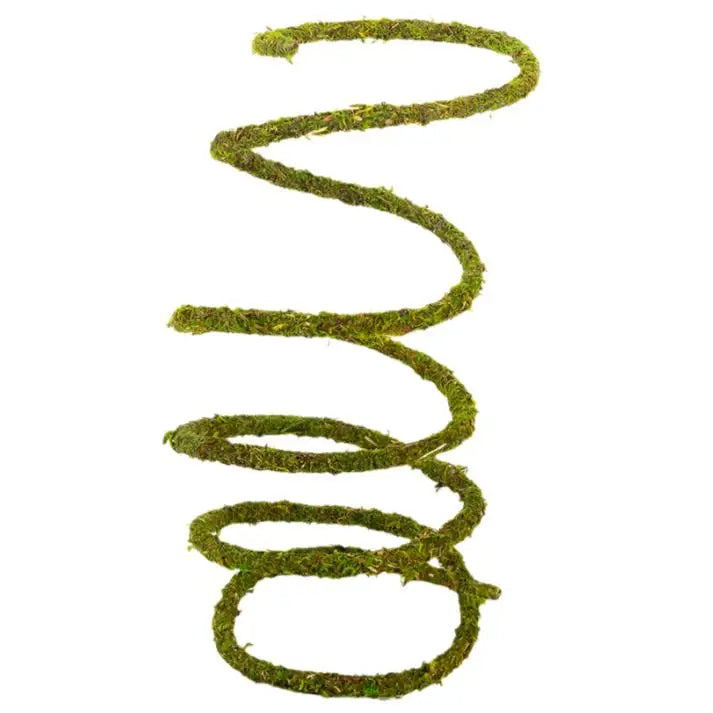 Reptizoo Natural Moss Vine Decor